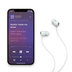 Beats by Dre Flex All-Day Wireless Earphones Smoke Grey