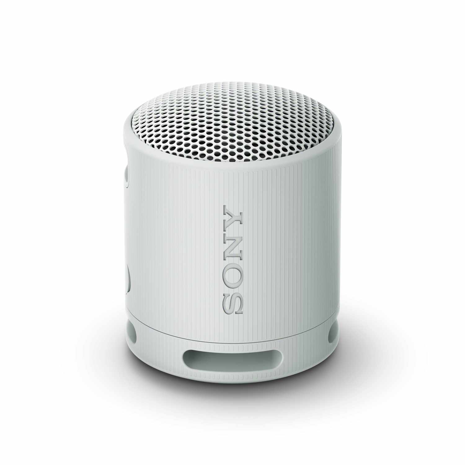 Sony Portable Wireless Speaker Gray